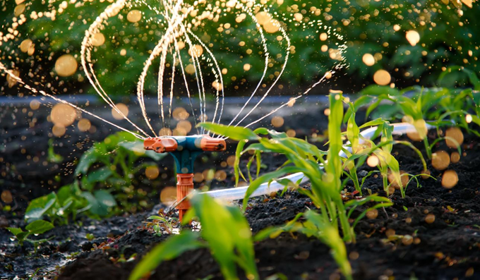 Smart Irrigation Solutions