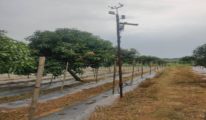 How Smart Irrigation Systems are Transforming Indian Agriculture