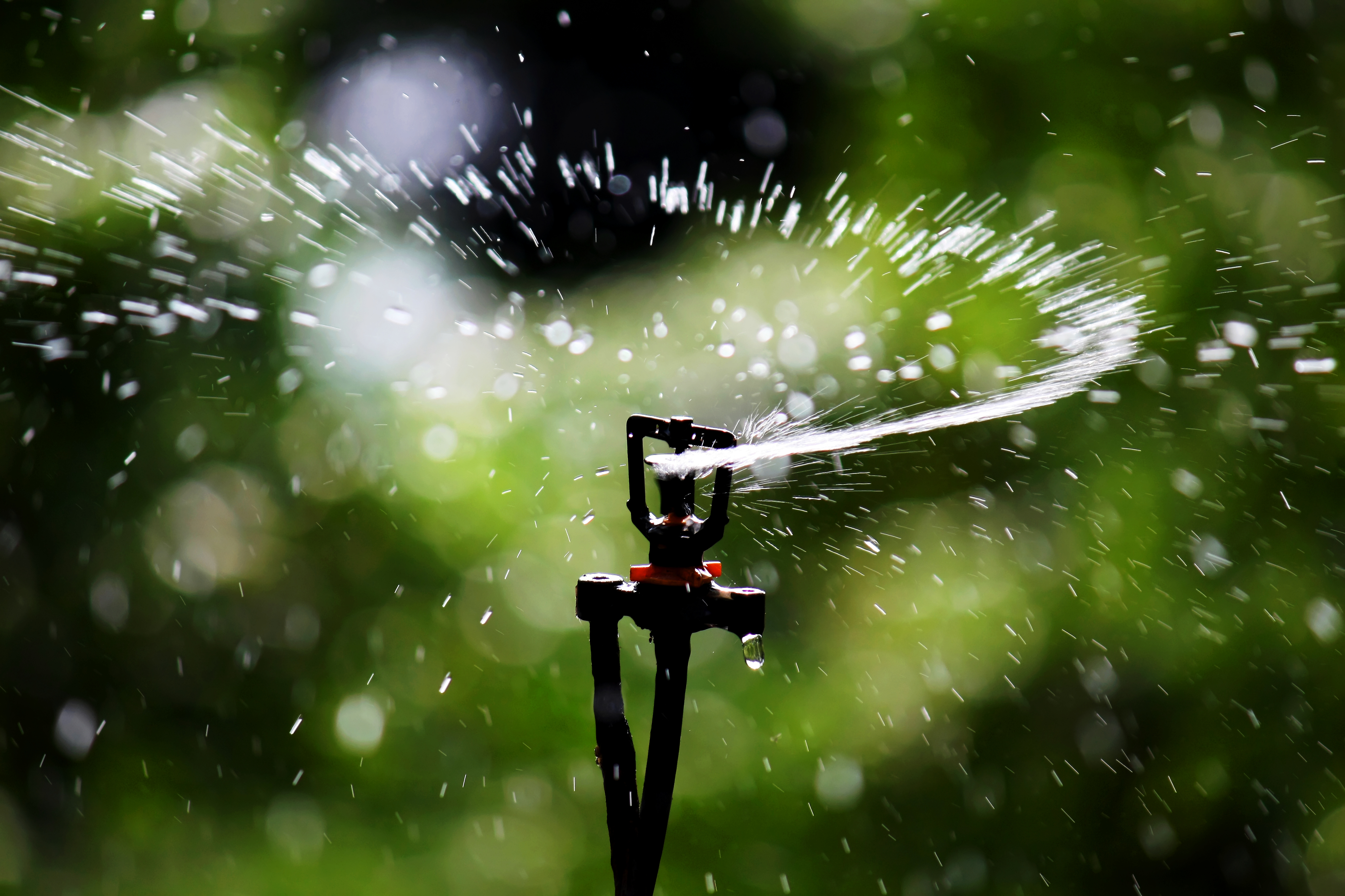 Sprinkler 3